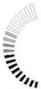 Sonnenkönig Chelsea - Force du brouillard - 2