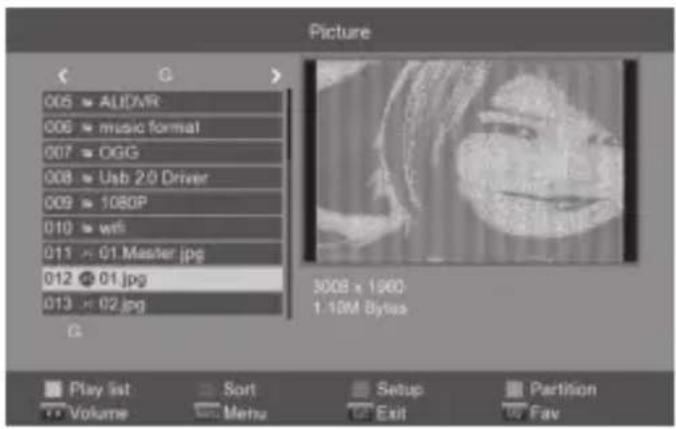 Engel Axil RT0420T2 - Reproductor de Imagenes - 1