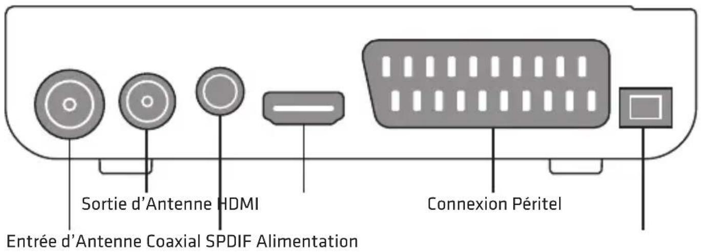 Engel Axil RT0420T2 - Face arrière et latéral - 1