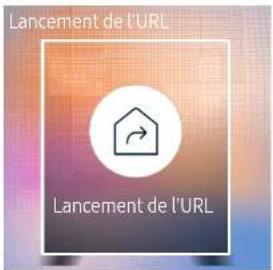 SAMSUNG SBBSNOWJ3U - Lancement de l'URL - 1