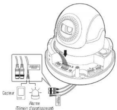 Hanwha XND6085 - Connexion au boitier du port E/S - 1