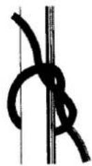 ROTEL U1664CH - English - 1