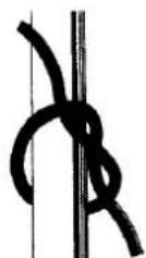 ROTEL U1664CH - François - 1