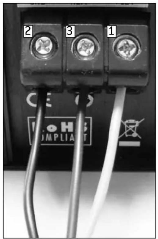FOCAL IBUS 2.0 - CONNECTION / ConnEXION - 2