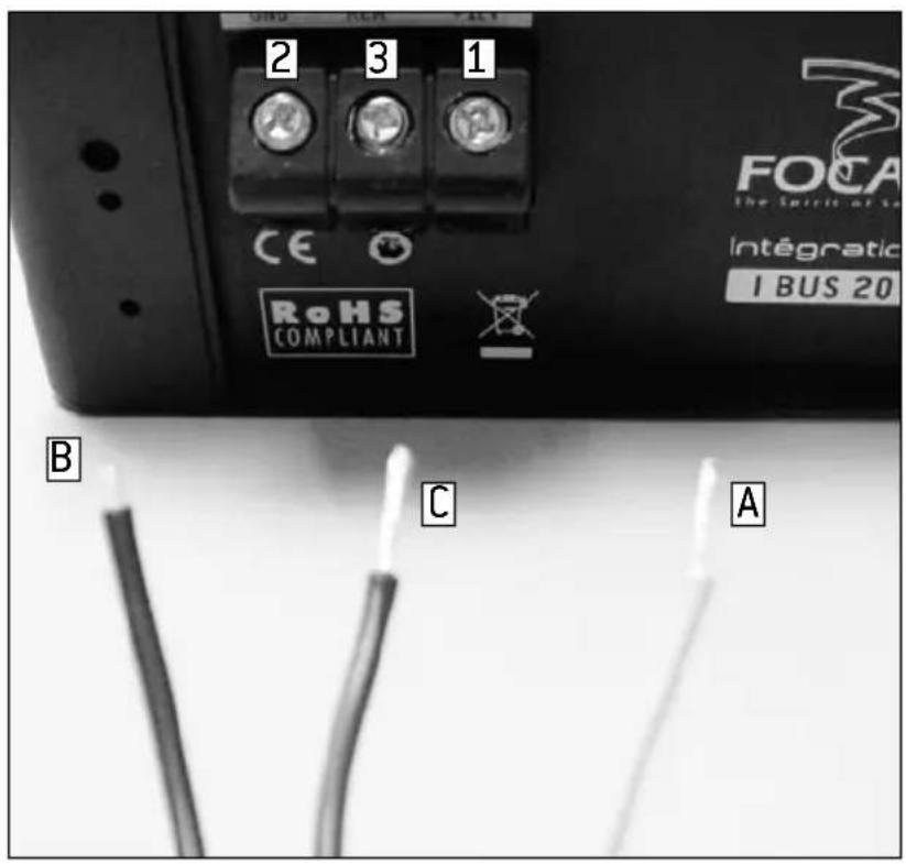 FOCAL IBUS 2.0 - CONNECTION / ConnEXION - 1