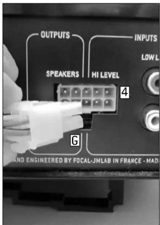 FOCAL IBUS 2.0 - CONNECTION / ConnEXION - 4