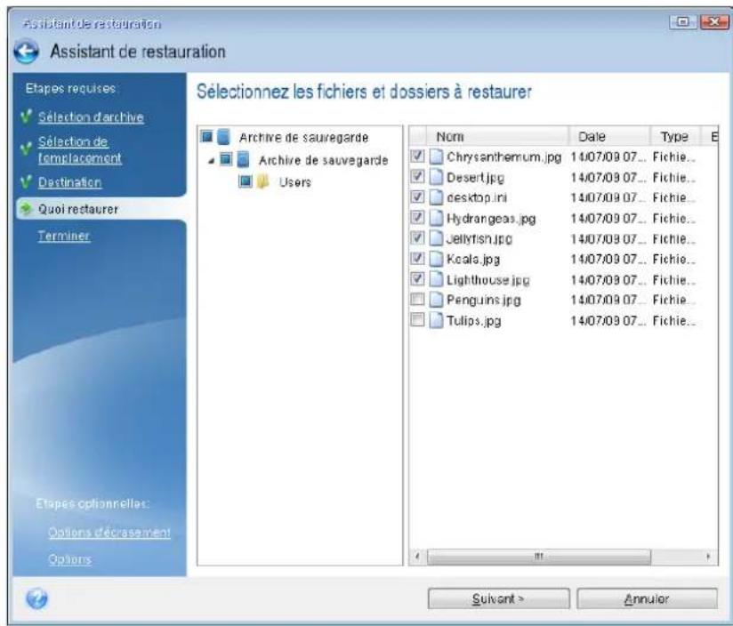 ACRONIS True Image 2019 - Tester la restauraon et vérier les lecteurs et l'adaptateur réseau - 3
