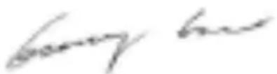 MCCULLOCH Li 40T - RIKKEOTSING - 1