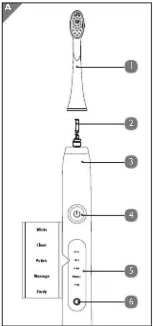 SILKN SonicSmile - Table of contents - 1