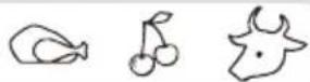 ZEROWATT ZCP 2751 - Zone freezer - 10