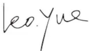 WORX WX661.1 - CONFORMITEITVERKLARING - 1