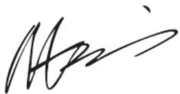 WORX WX648 - DECLARATIE DE CONFORMITATE - 1