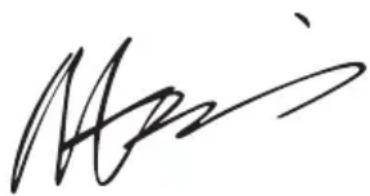 WORX WX648 - CONFORMITEITVERKLARING - 1