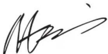 WORX WX648 - ARBEJDSTIPS FOR DIN HändSLIBER - 1