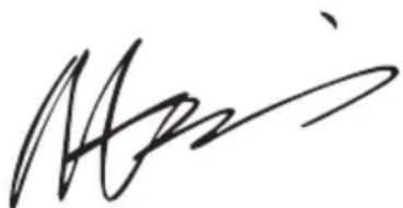 WORX WX648 - DECLARACION DE CONFORMIDAD - 1