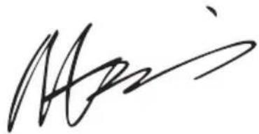 WORX WX648 - DECLARATION DE CONFORMIDADE - 1