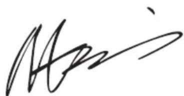 WORX WX642 - DECLARATIE CONFORMITATE - 1