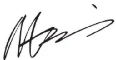 WORX WX642 - CONFORMITEITVERKLARING - 1