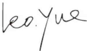 WORX WX623.1 - UYGUNLUK BEYANNAMESI - 1