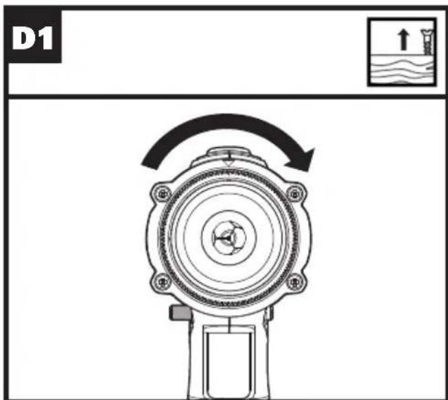 D1