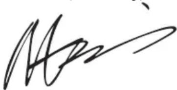 WORX WG629E.9 - DEKLARACJA ZGODNOŚCI - 1