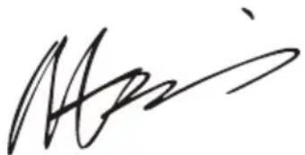 WORX WG629E.91 - DECLARATION OF CONFORMITY - 1