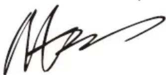 WORX WG629E.91 - DÉCLARATION DE CONFORMITÉ - 1