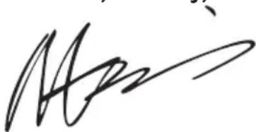 WORX WG629E.1 - INFORMATIONS RELATIVES AUX VIBRATIONS - 3