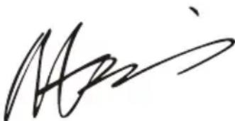 WORX WG629E.1 - Borste (endast for WG629E.1 WG629E.91) - 1