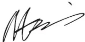 WORX WG629E.1 - Borste (endast for WG629E.1 WG629E.91) - 3