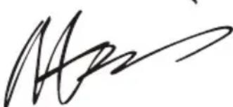 WORX WG629E.1 - INFORMATIONS RELATIVES AUX VIBRATIONS - 1