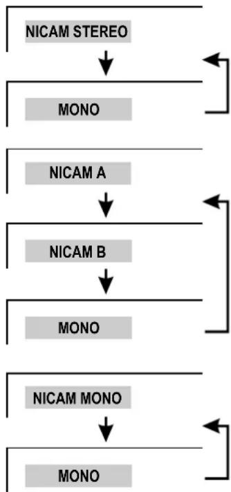 XORO HTL 2012 - Cucmema NICAM [STEREO - 1
