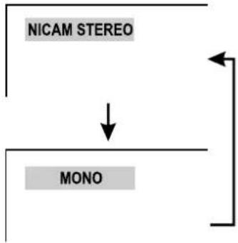 XORO HTL 2012 - Bilingual - 2