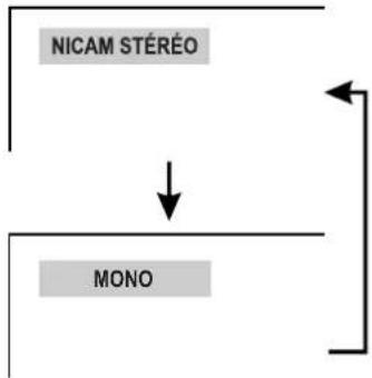 XORO HTL 2012 - Mono - 1