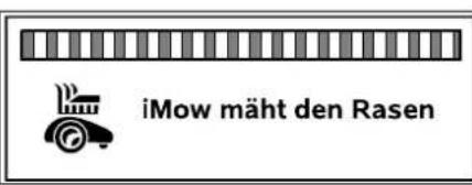 VIKING iMow MI 422 P - Statusinformation während laufender Aktivitäten: - 1