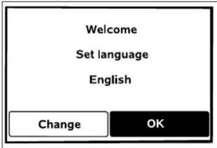 VIKING iMow MI 422 P - Setting the language, date and time - 3