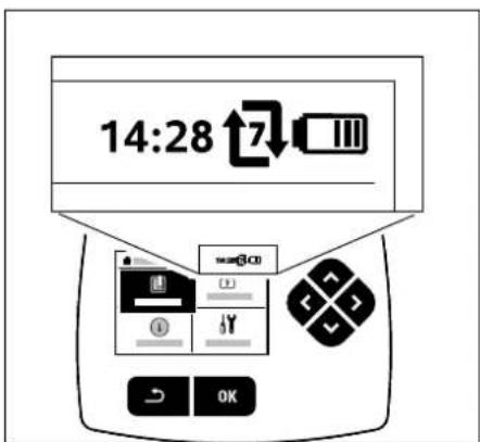 VIKING iMow MI 422 P - Affichage de messages : - 3