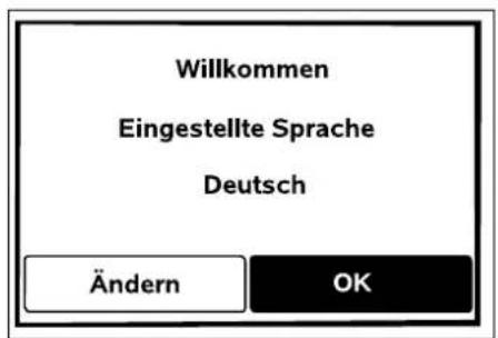 VIKING iMow MI 422 P - Sprache, Datum, Uhrzeit einstellen - 4