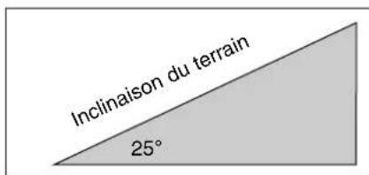 VIKING ME 455 - Tonte sur terrain en pente - 1