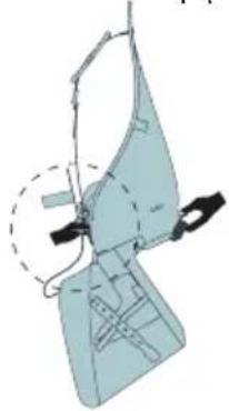 Urban Iki Rear - 警告： - 7