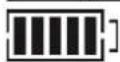 Urban Arrow Shorty - E-bike battery capacity check - 3