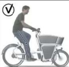 Urban Arrow Shorty - 4.1Fietsinstelling - 6