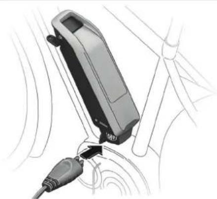Urban Arrow Shorty - Charging the e-bike battery - 2