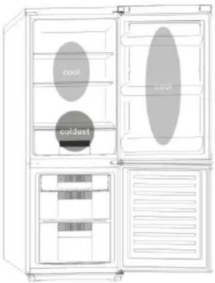 CANDY CMCN 5172 XWD - Wo welche Lebensmittel im Kühlschrank gelagert werden sollten - 1