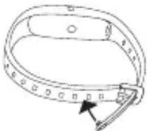 BEURER AS 95 - Comment porter correctement le capteur d'activité ? - 2