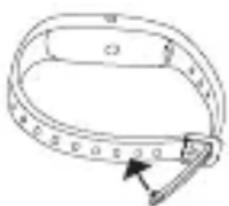 BEURER AS 95 - What is the correct way to wear the activity sensor? - 2