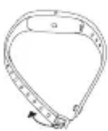 BEURER AS 95 - What is the correct way to wear the activity sensor? - 1