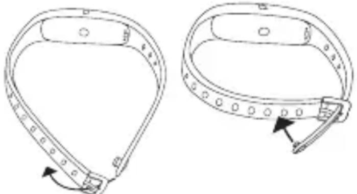 BEURER AS 95 - Wie trage ich den Aktivitätssensor korrekt? - 1