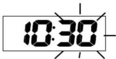 AURIOL IAN 288624 - Minutes : - 1