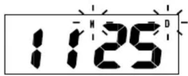 AURIOL IAN 288624 - Date format: - 1